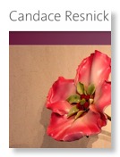 Screen Shot 2012-12-14 at 12.15.18 PM
